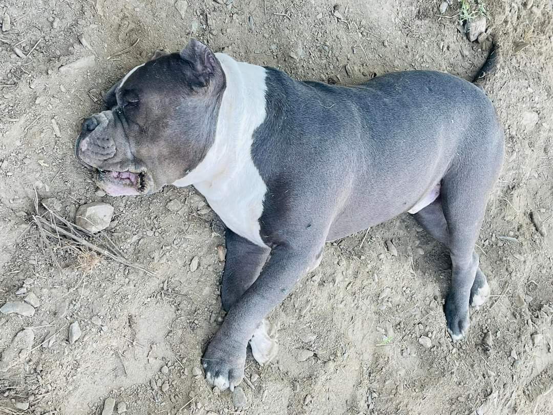 FB_IMG_1668588686660