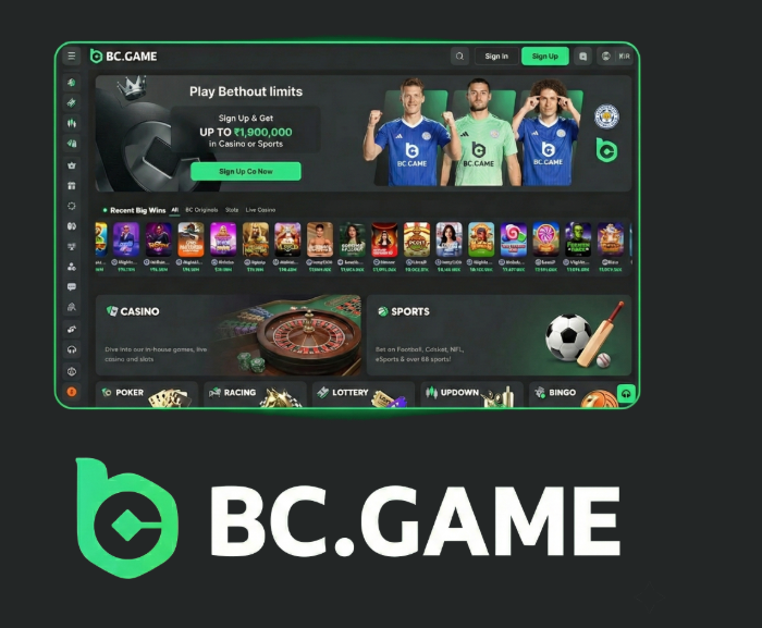 Unlocking the Excitement BC.Game Bonuses for Players